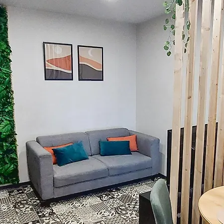 Artgrey * Ideal Pro * Roanne Secteur Gare Et Rue Pietonnes Exterior foto